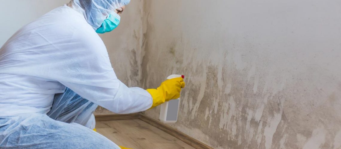 Mold remediation services